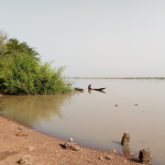 Gambia NA ratified 2001 UNESCO Convention on Protection of Underwater Cultural Heritage